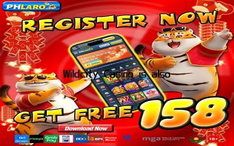 Wildcity Casino is also committed to responsible gaming