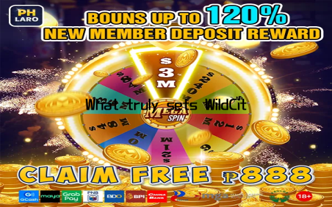 What truly sets WildCity Slot apart from other games I’ve played is its ability to keep you on the edge of your seat